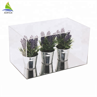 Customized Large Clear Single acrylic clear display box For Potted Plant