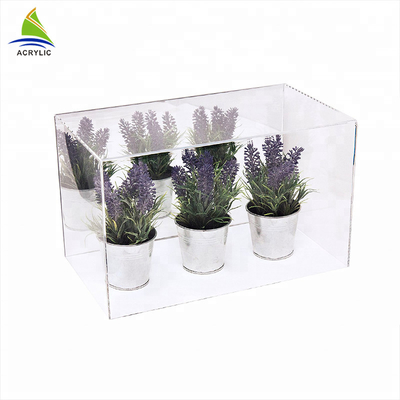 Customized Large Clear Single acrylic clear display box For Potted Plant