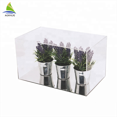 Customized Large Clear Single acrylic clear display box For Potted Plant