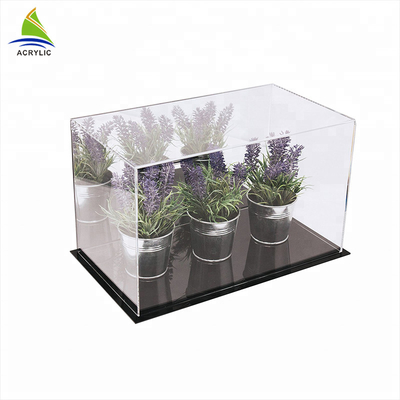 Customized Large Clear Single acrylic clear display box For Potted Plant