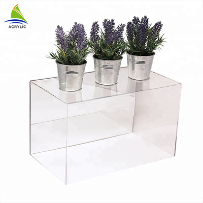 Customized Large Clear Single acrylic clear display box For Potted Plant
