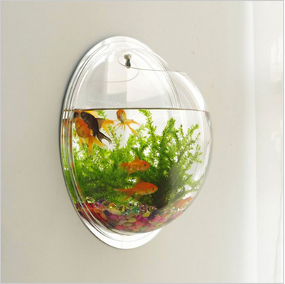 Modern Acrylic Shop Display Customized Wall Mounted Clear Round Acrylic Fish Tank