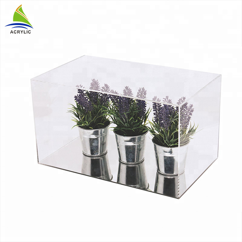 Clear Acrylic Countertop Display Case Simple Style Black Top And Bottom Clear Custom Acrylic Box